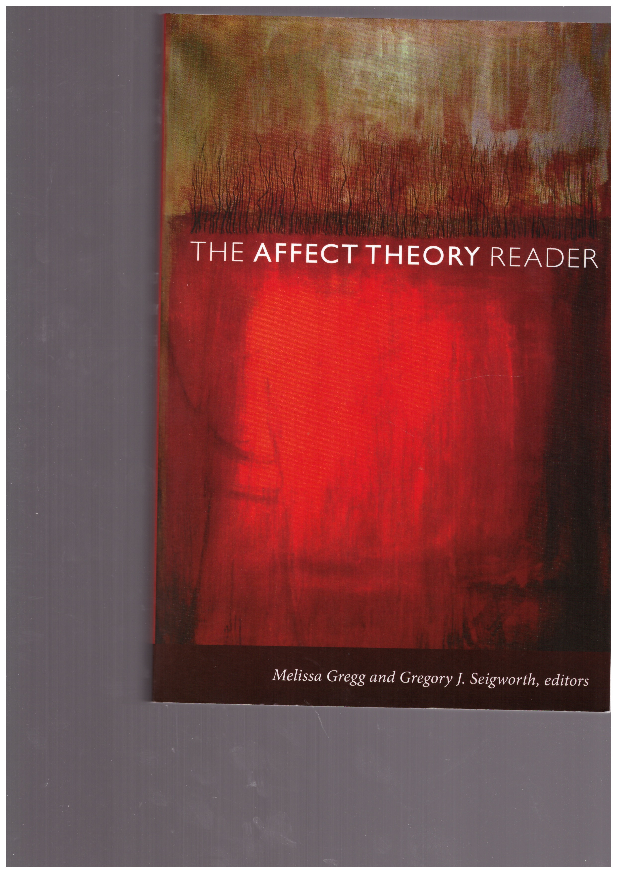 GREGG, Melissa; SEIGWORTH, Gregory J. (ed.) - The Affect Theory Reader